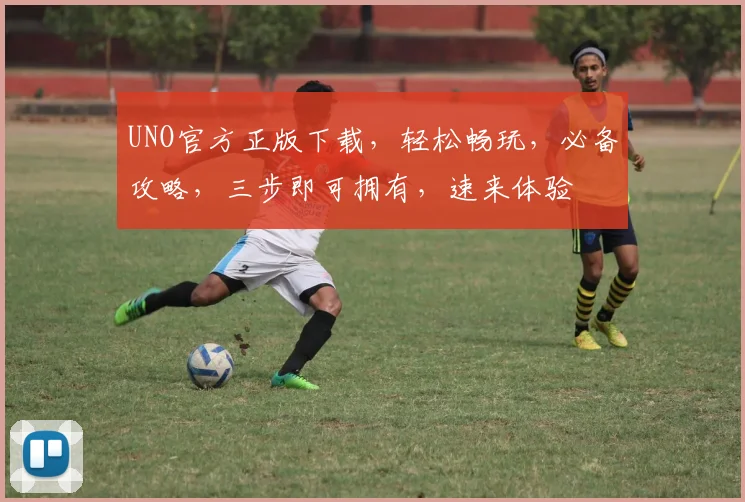 UNO官方正版下载，轻松畅玩，必备攻略，三步即可拥有，速来体验