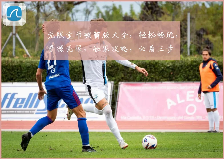 无限金币破解版大全，轻松畅玩，资源无限，独家攻略，必看三步
