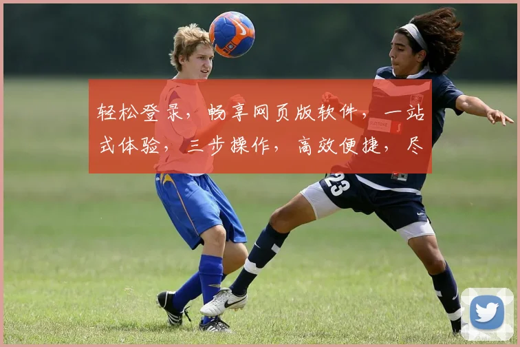 轻松登录，畅享网页版软件，一站式体验，三步操作，高效便捷，尽在掌握