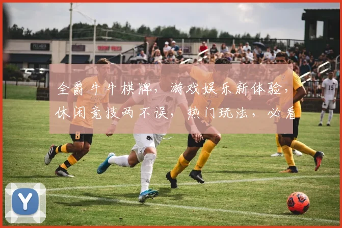 全爵牛牛棋牌，游戏娱乐新体验，休闲竞技两不误，热门玩法，必看攻略