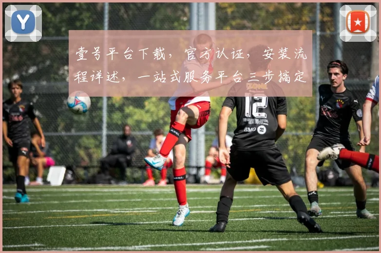 壹号平台下载，官方认证，安装流程详述，一站式服务平台三步搞定，轻松拥有